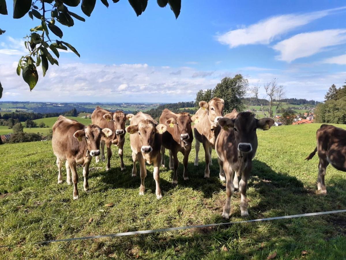 Ferienwohnung Pickenhan Scheidegg Luaran gambar