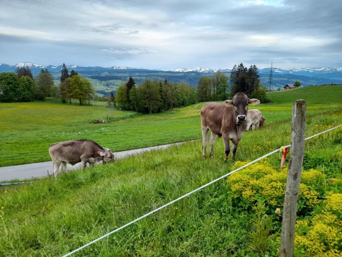 Ferienwohnung Pickenhan Scheidegg Luaran gambar