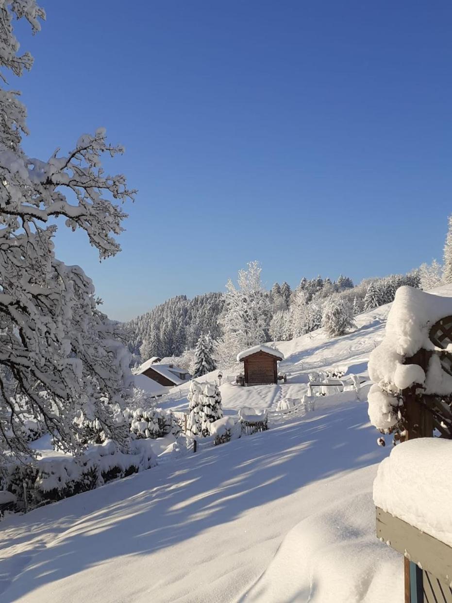 Ferienwohnung Pickenhan Scheidegg Luaran gambar