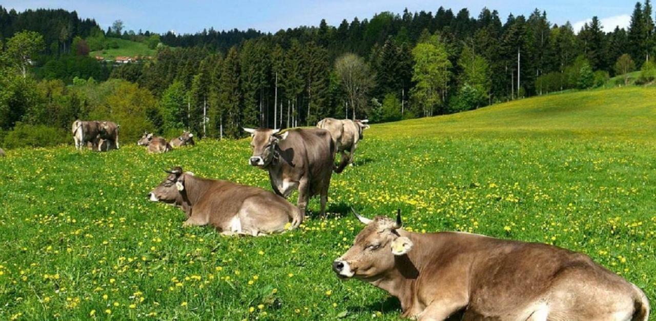 Ferienwohnung Pickenhan Scheidegg Luaran gambar